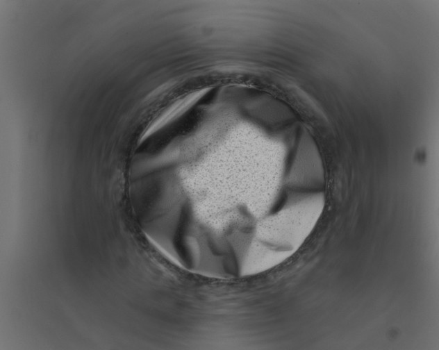 X0000094330821200711241827