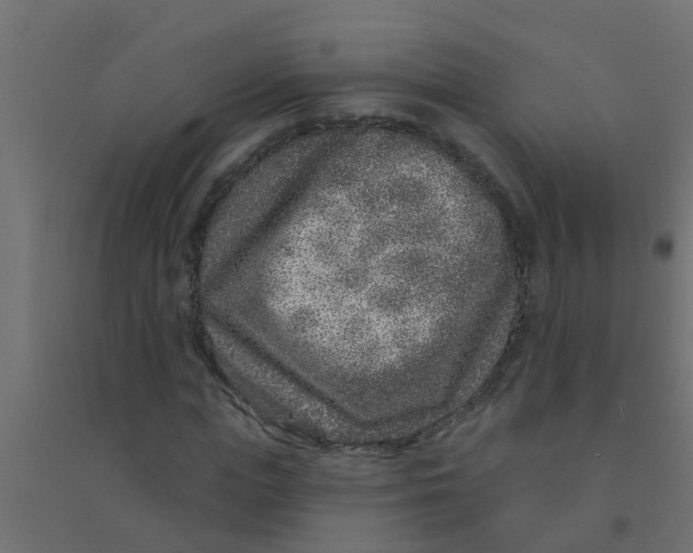 X0000094330823200711241827