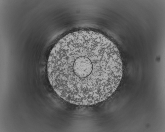 X0000094330824200711241827