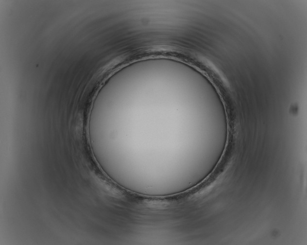 X0000094330825200711241827