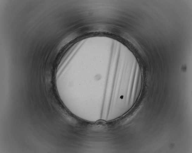 X0000094330826200711241827