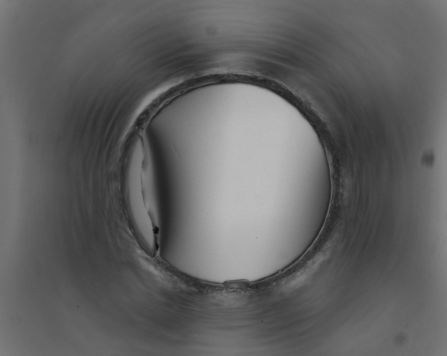 X0000094330830200711241827