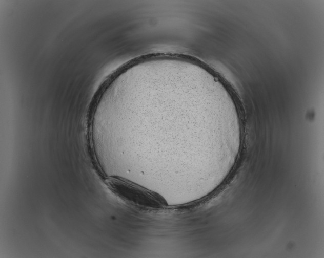 X0000094330831200711241827