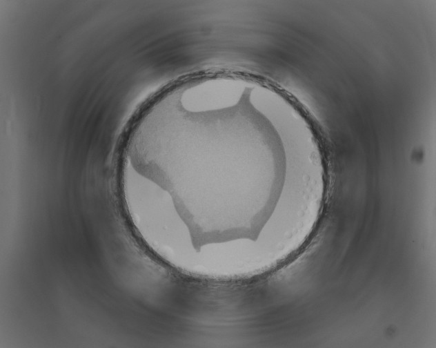 X0000094330832200711241827