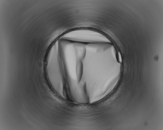 X0000094330834200711241827