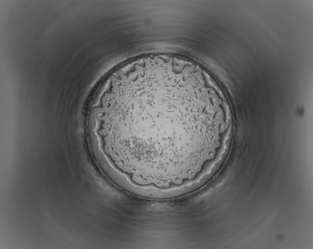 X0000094330835200711241827