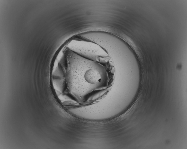 X0000094330836200711241827