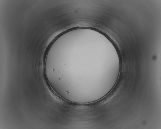 X0000094330837200711241827