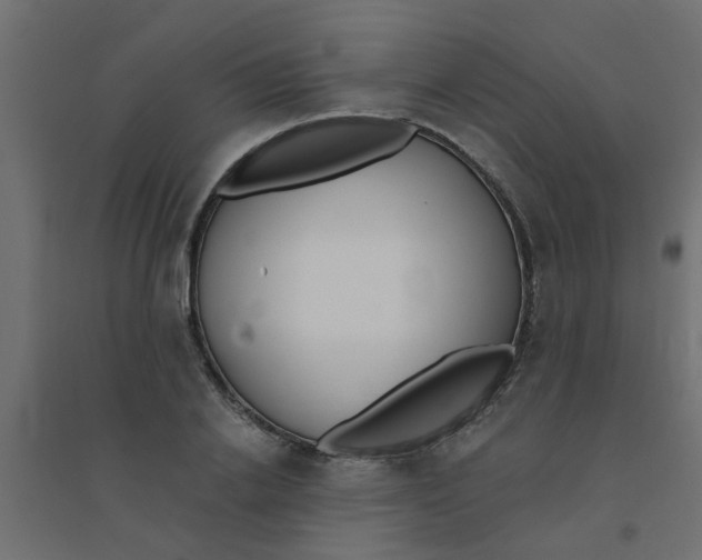 X0000094330838200711241827