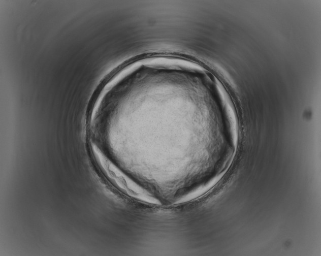 X0000094330839200711241827