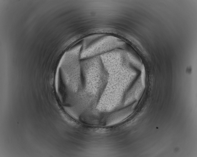 X0000094330841200711241827