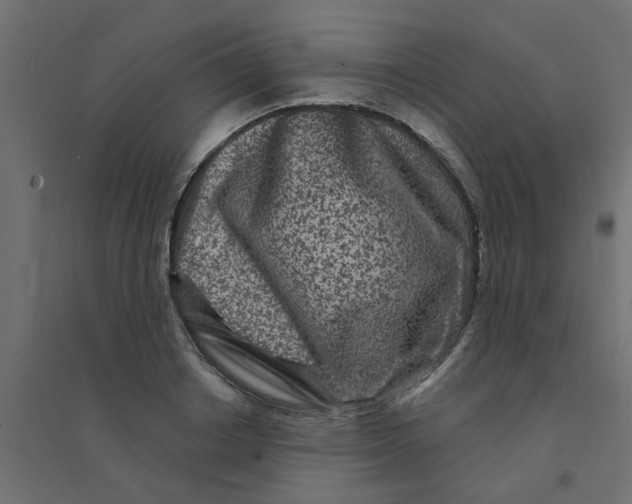 X0000094330842200711241827