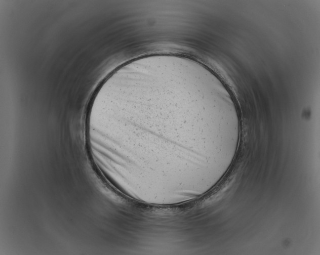 X0000094330843200711241827