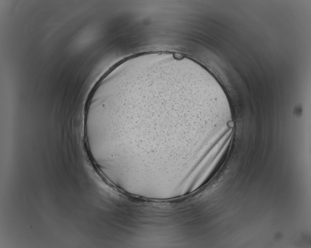 X0000094330844200711241827