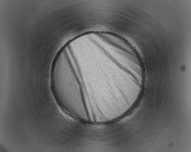 X0000094330845200711241827