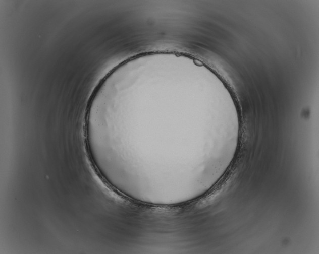 X0000094330847200711241827