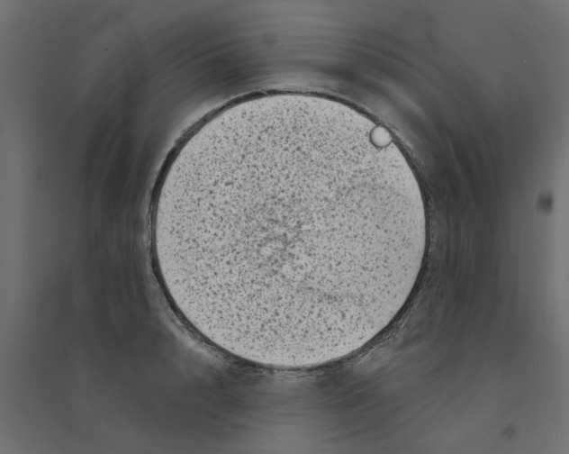 X0000094330848200711241827