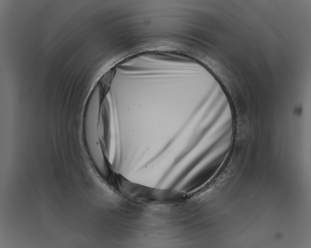 X0000094330850200711241827