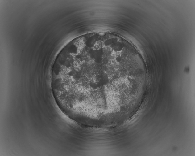 X0000094330851200711241827