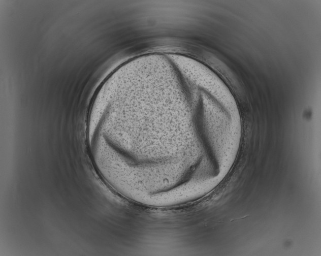 X0000094330852200711241827