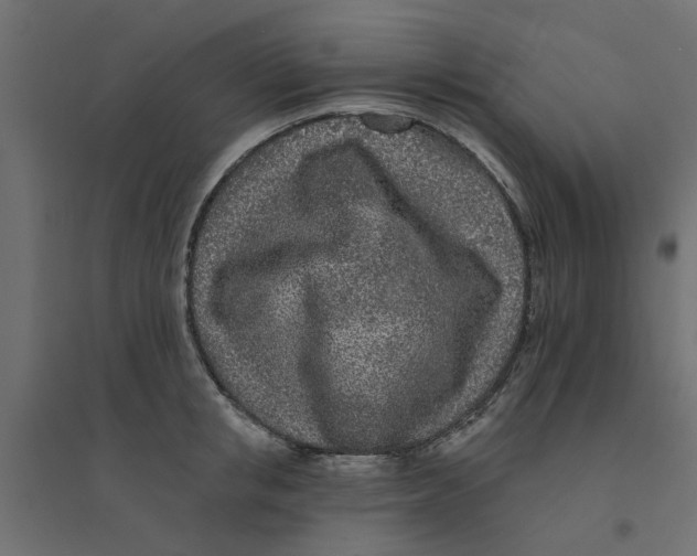 X0000094330853200711241827