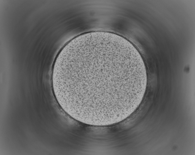 X0000094330856200711241827