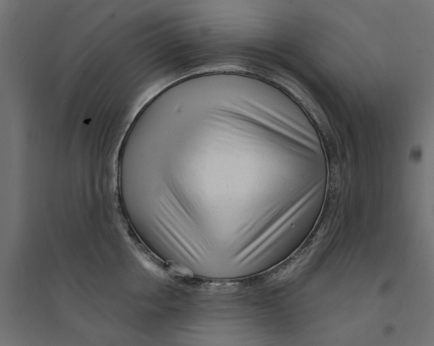 X0000094330858200711241827