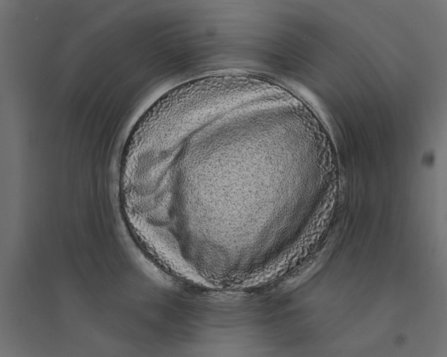 X0000094330859200711241827