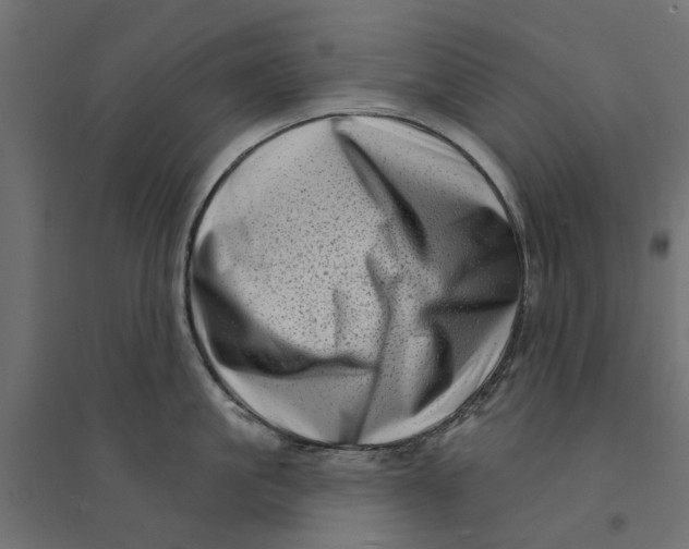 X0000094330861200711241828