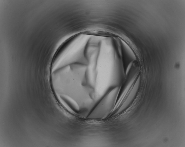 X0000094330862200711241828