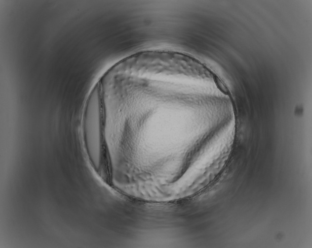 X0000094330863200711241828