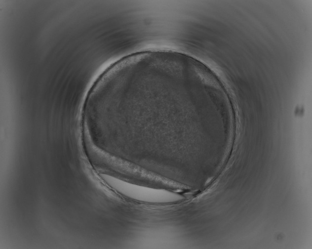 X0000094330864200711241828