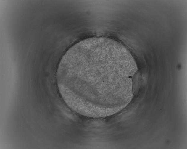 X0000094330865200711241827