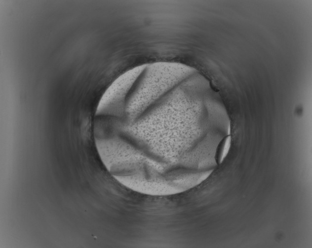 X0000094330866200711241827