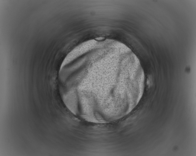 X0000094330867200711241827