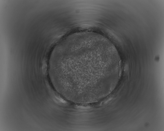 X0000094330868200711241827