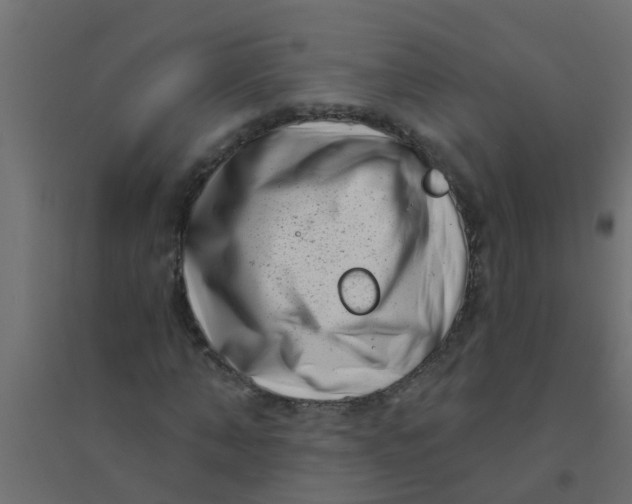 X0000094330870200711241827