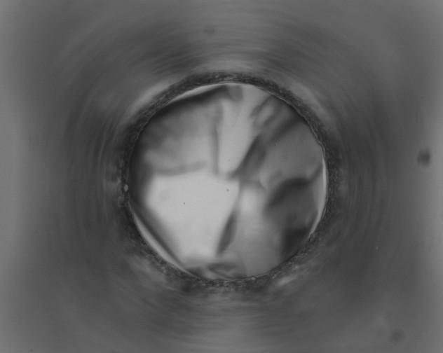 X0000094330872200711241827