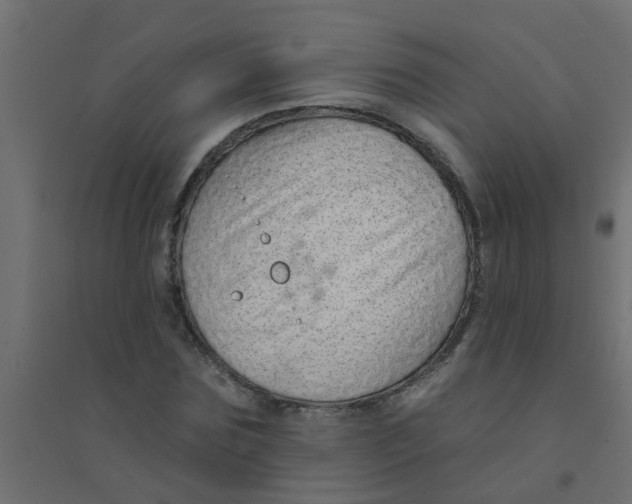 X0000094330875200711241827