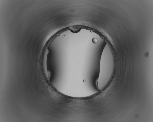 X0000094330877200711241827