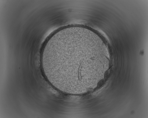 X0000094330878200711241827