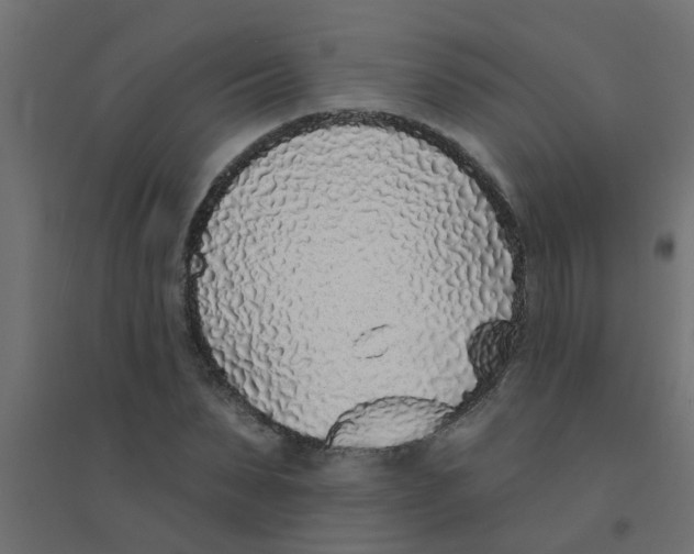 X0000094330879200711241827