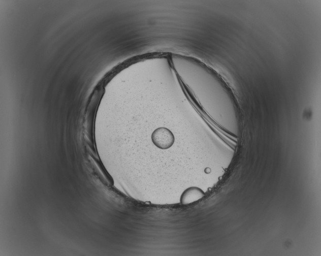 X0000094330880200711241827