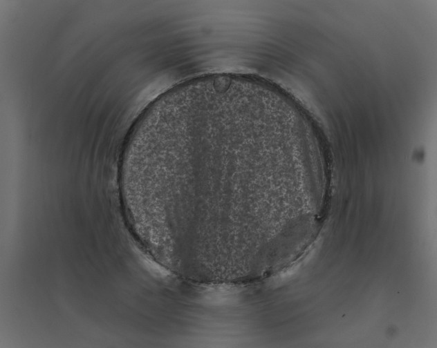 X0000094330881200711241827