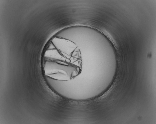 X0000094330884200711241827