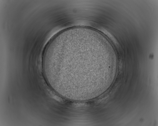 X0000094330886200711241827