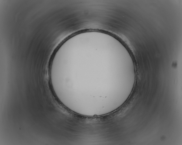 X0000094330887200711241827