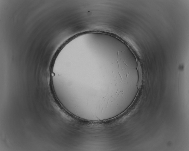 X0000094330888200711241827