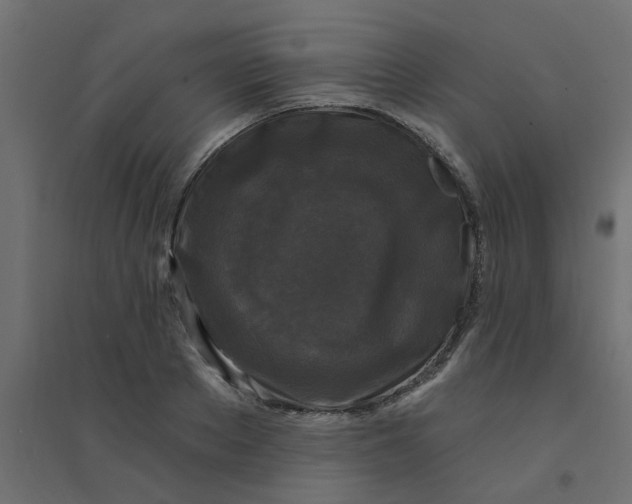 X0000094330889200711241827