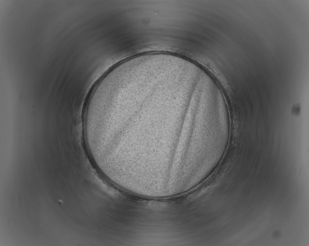 X0000094330890200711241827